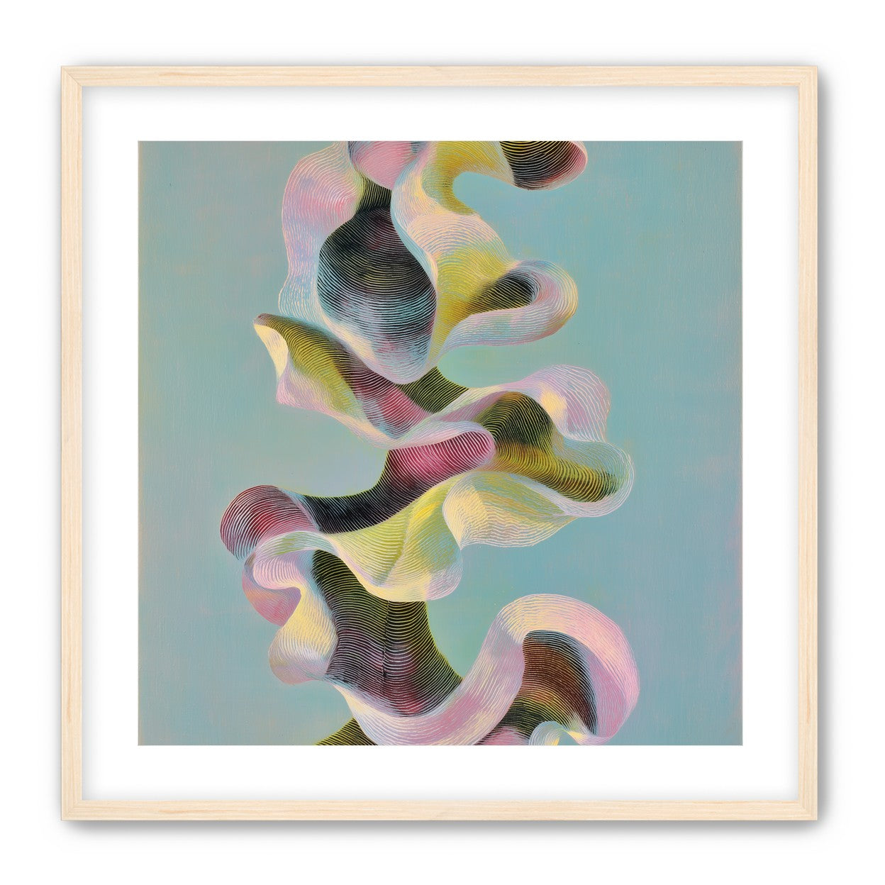 Folded ribbons in suspension