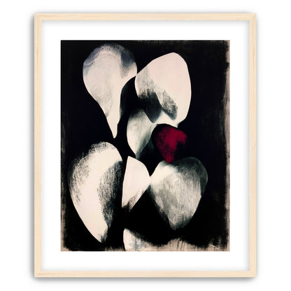 Red petal in shadowed bloom