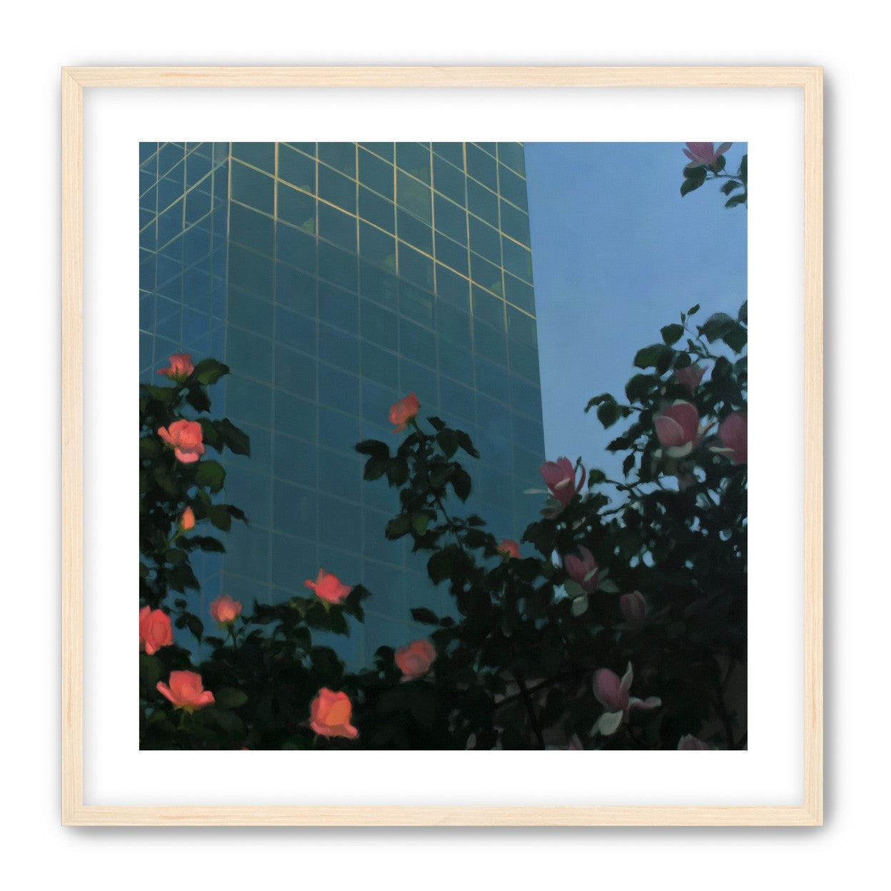 Roses beneath blue towers