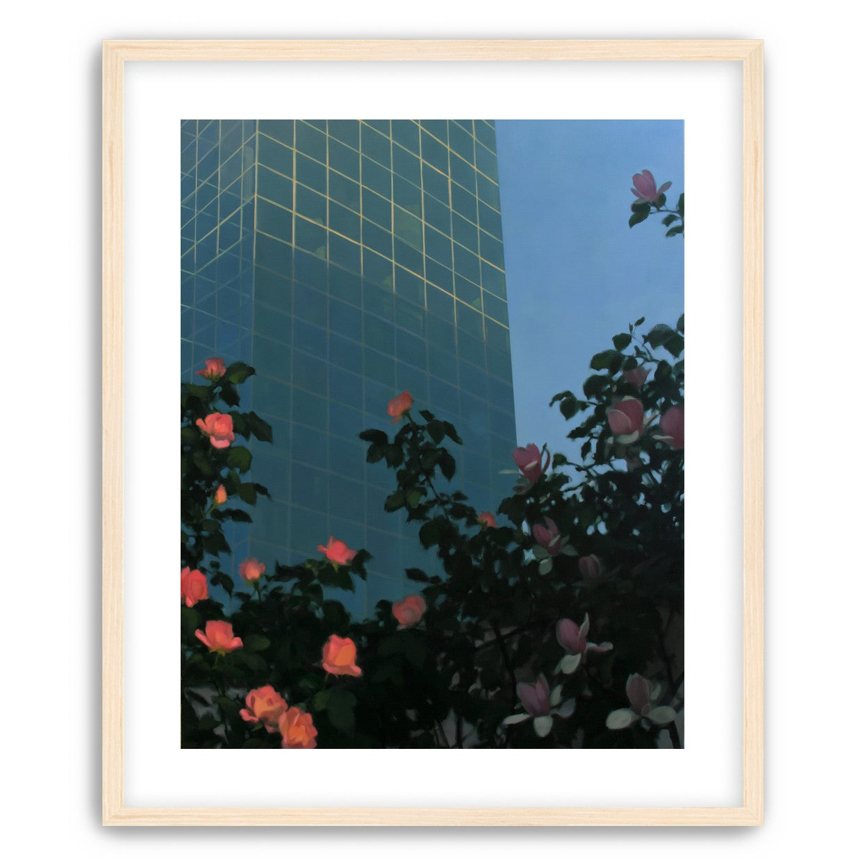 Roses beneath blue towers
