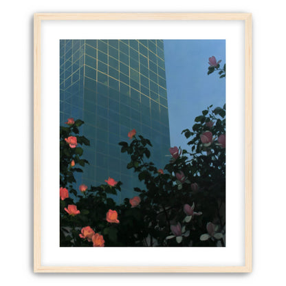 Roses beneath blue towers