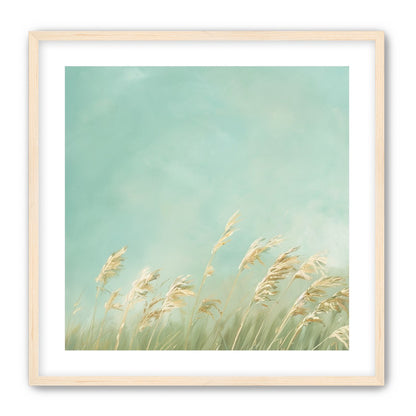Turquoise sky over pale grass