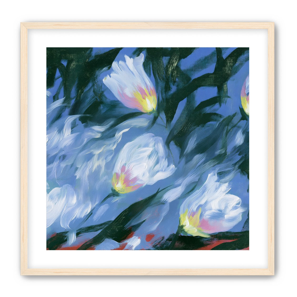 White tulips on blue ground