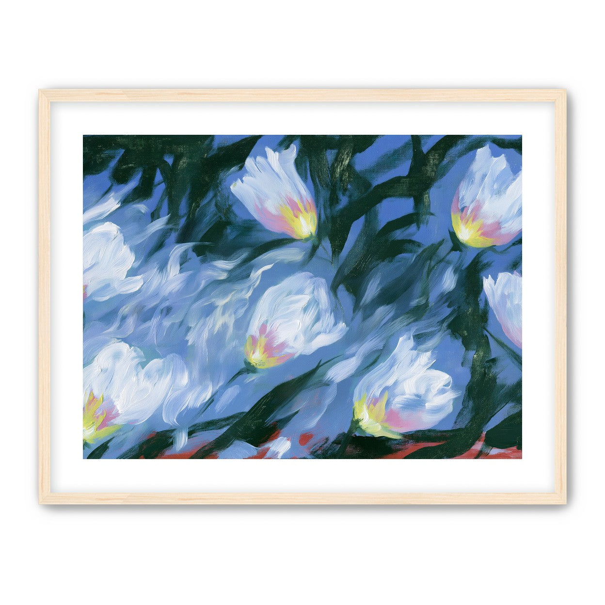 White tulips on blue ground