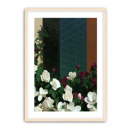 Roses against the blue grid