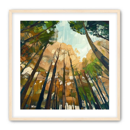 Canopy Lightfall