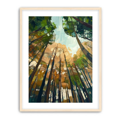 Canopy Lightfall