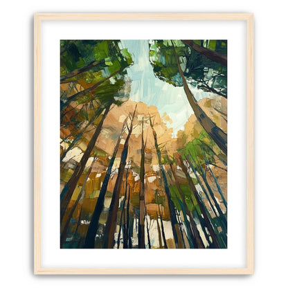 Canopy Lightfall