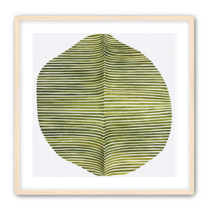 Dark green stripes crease inward