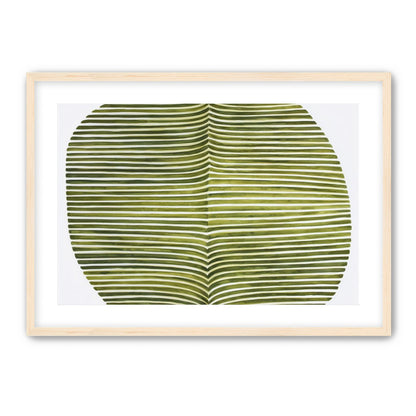 Dark green stripes crease inward