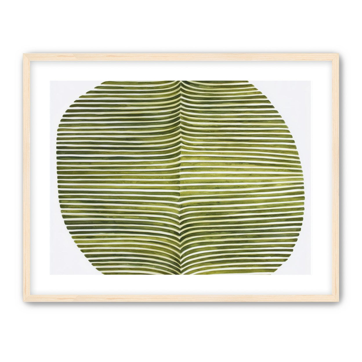 Dark green stripes crease inward