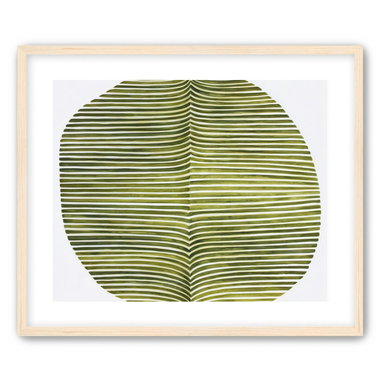 Dark green stripes crease inward