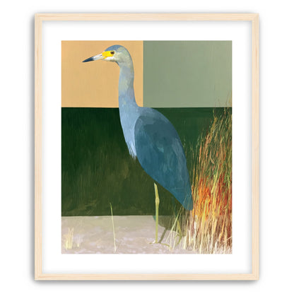 A heron beside the reeds