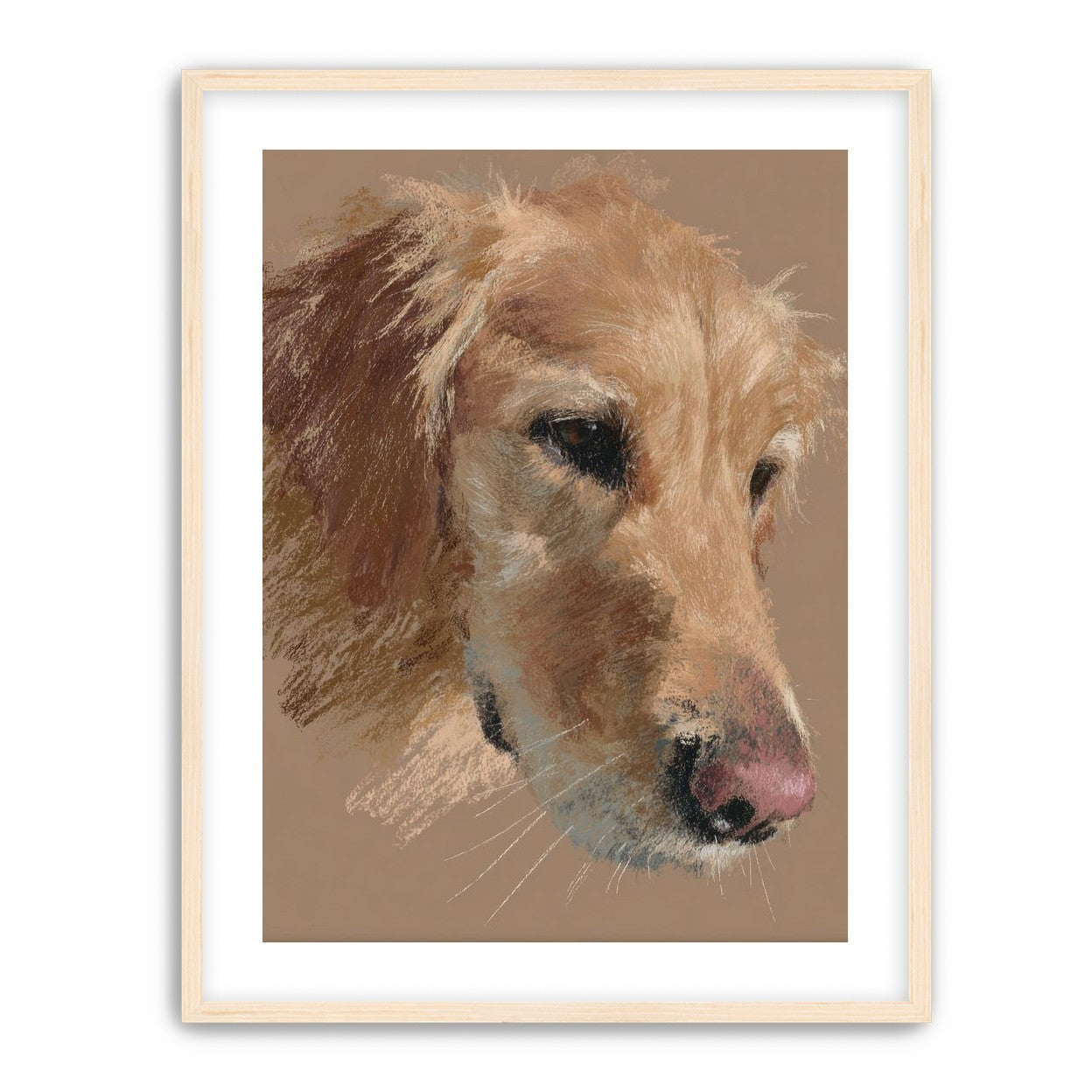 Warm browns on a golden retriever