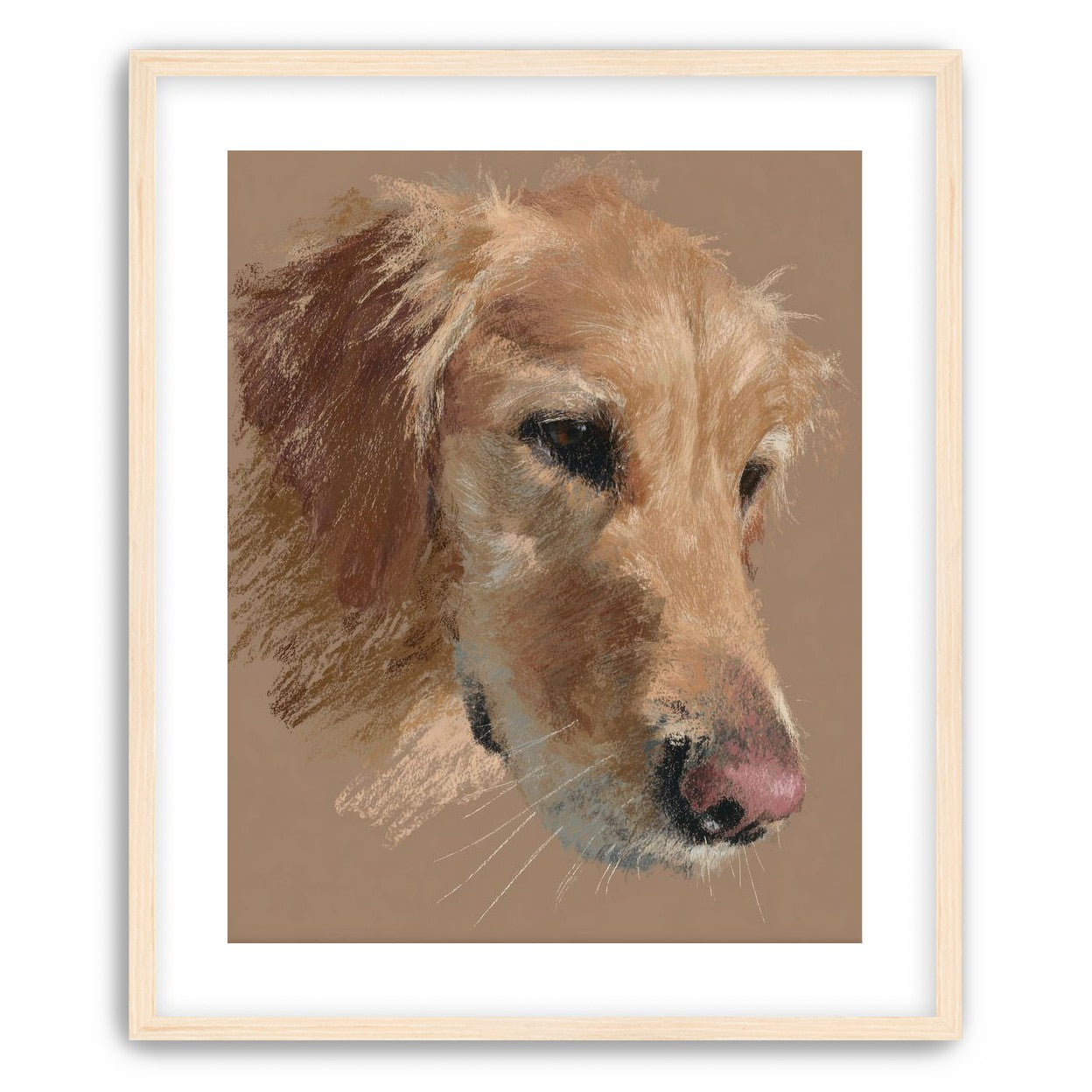 Warm browns on a golden retriever