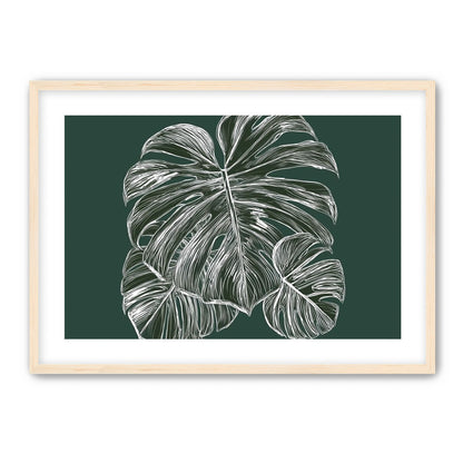 White veins on green field