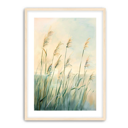 Peach light on reeds