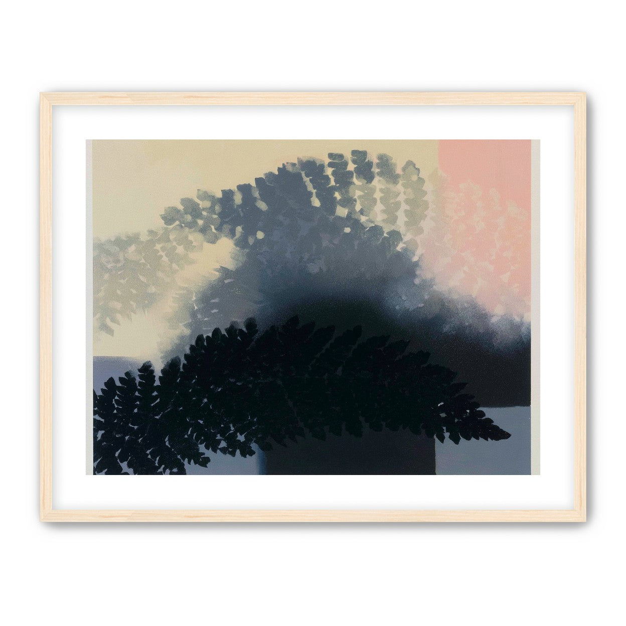 Tree shadow across the sky