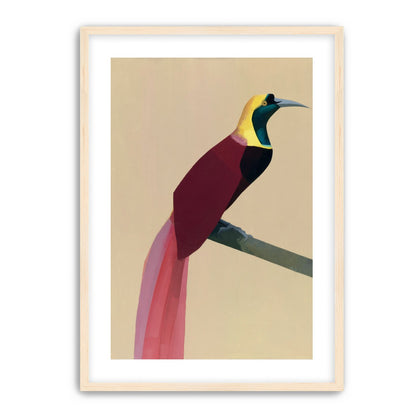 A bright bird on a branch