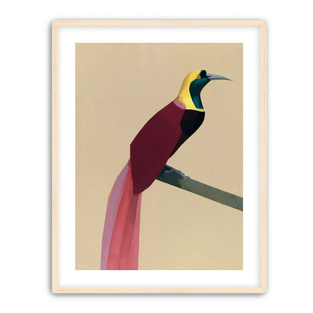 A bright bird on a branch