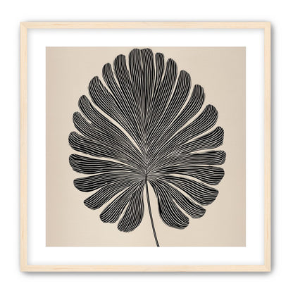 Striped fan leaf alone