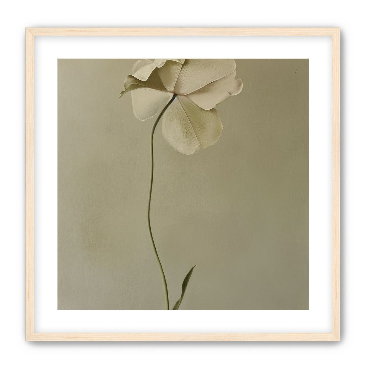 One flower leaning into quiet