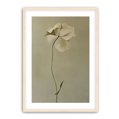 One flower leaning into quiet
