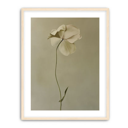 One flower leaning into quiet