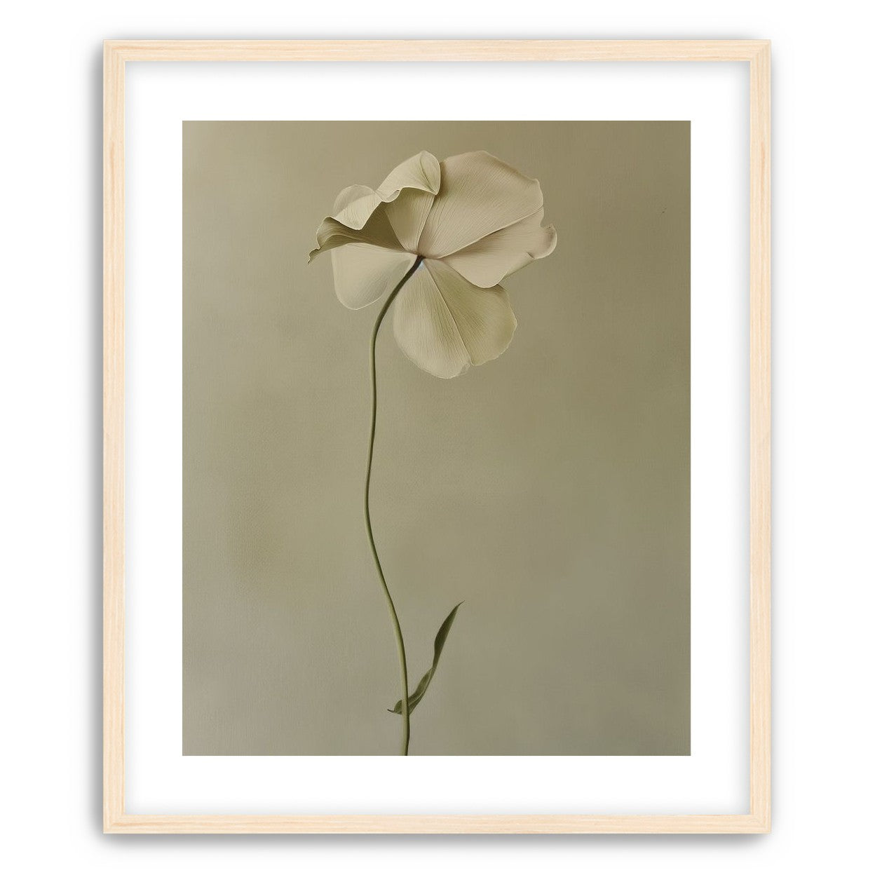 One flower leaning into quiet