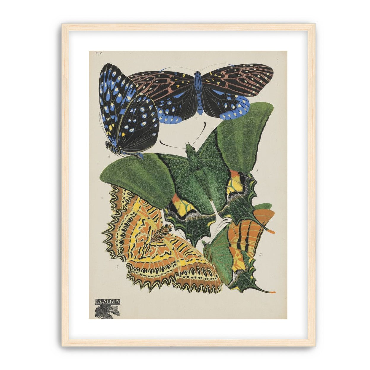 Butterflies on a pale plate
