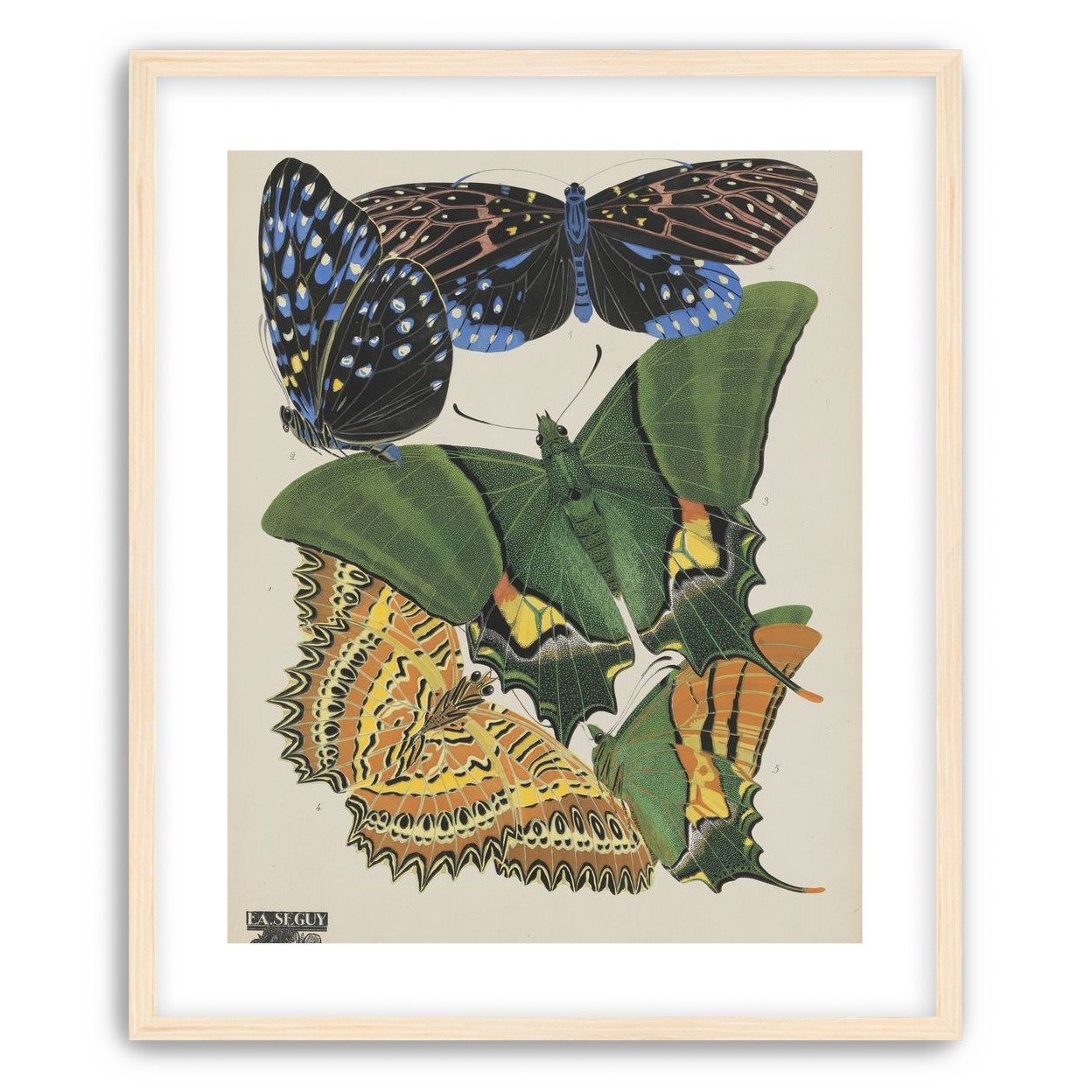 Butterflies on a pale plate