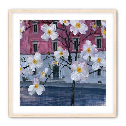 White blossoms over the pink house