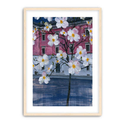 White blossoms over the pink house