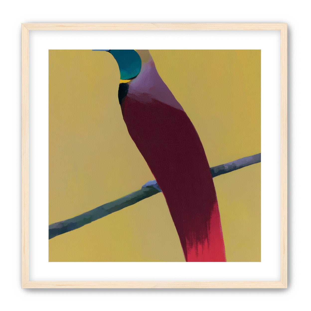 A bright bird on yellow