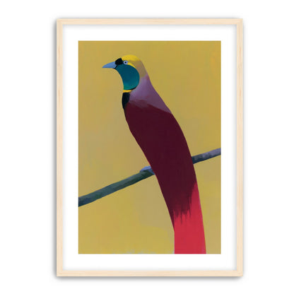 A bright bird on yellow