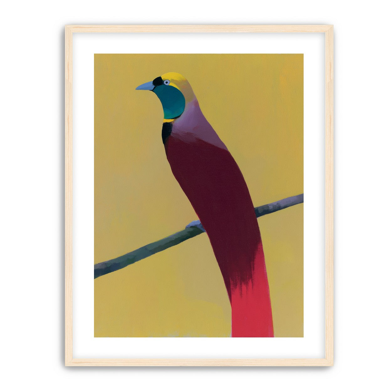 A bright bird on yellow