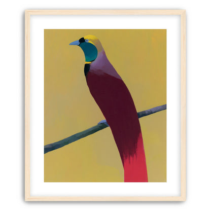A bright bird on yellow