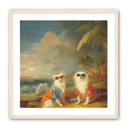Sunglasses cats on the beach