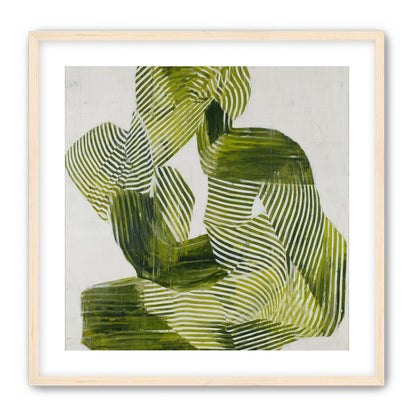 Olive stripes in repose