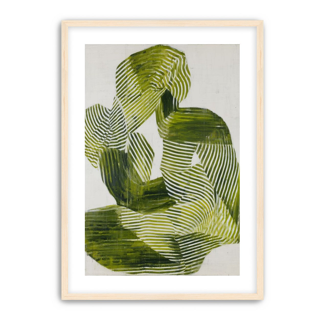 Olive stripes in repose