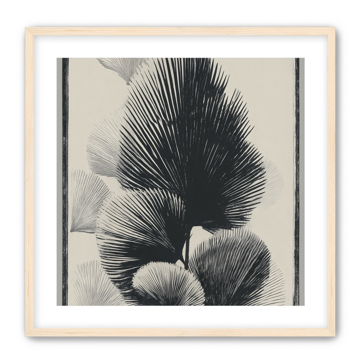 Fan fronds in ink shadow