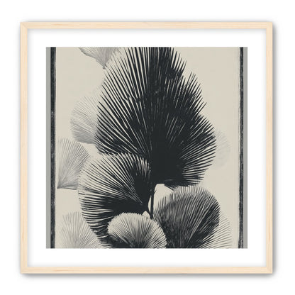 Fan fronds in ink shadow