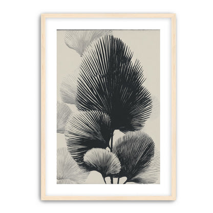 Fan fronds in ink shadow
