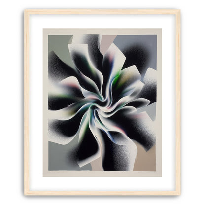 Spiral fold within pale blocks