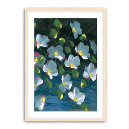 Pale blooms on black