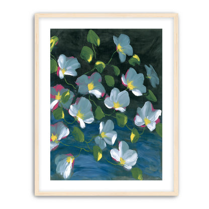 Pale blooms on black