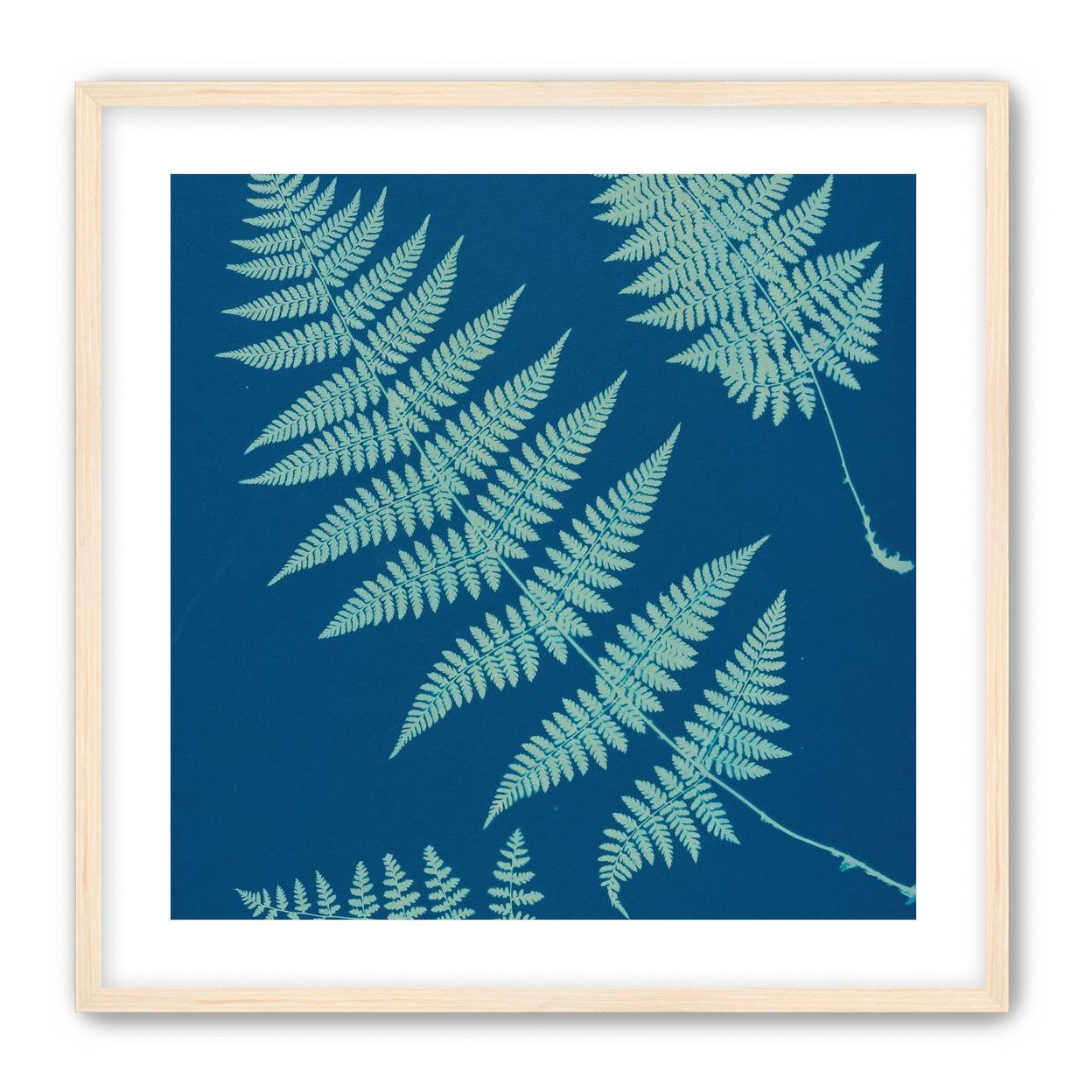 Pale ferns in deep blue