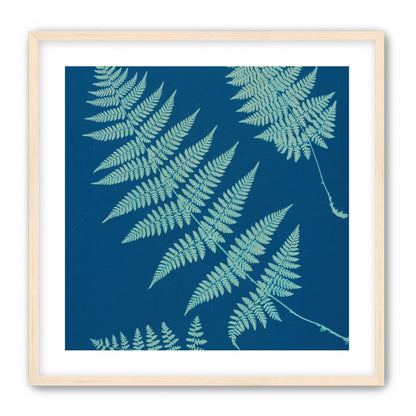 Pale ferns in deep blue