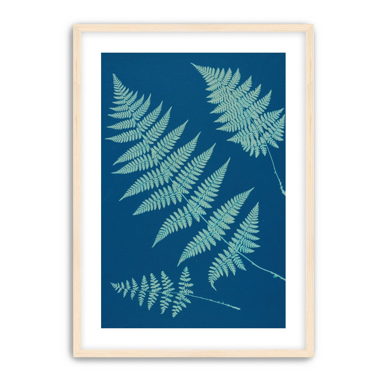 Pale ferns in deep blue