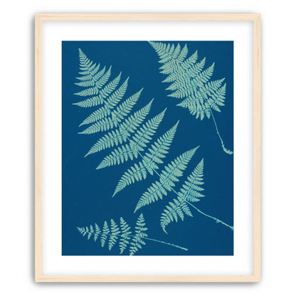 Pale ferns in deep blue